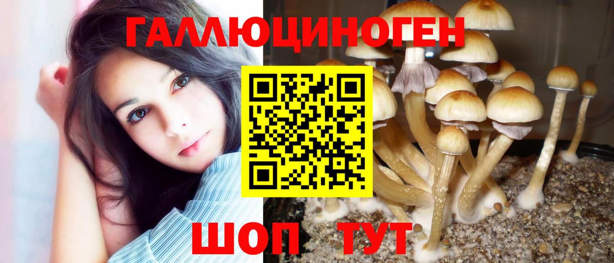 Псилоцибиновые грибы GOLDEN TEACHER Кстово