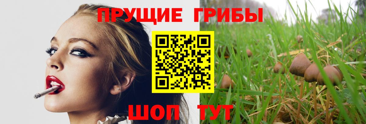 Кстово  Галлюциногенные грибы Cubensis  Вход с VPN 